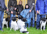 Een mooie familie hereniging!