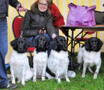 Dusty, Marre, Silke en Mano.