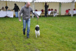 Marre met Arjan.