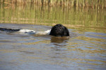 Silke, even weer schoon worden! 