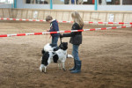 Merit met Silke volgen samen een ringtraining.